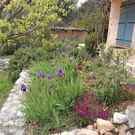 La Farigoulette Bed & Breakfast Lorgues Exterior foto