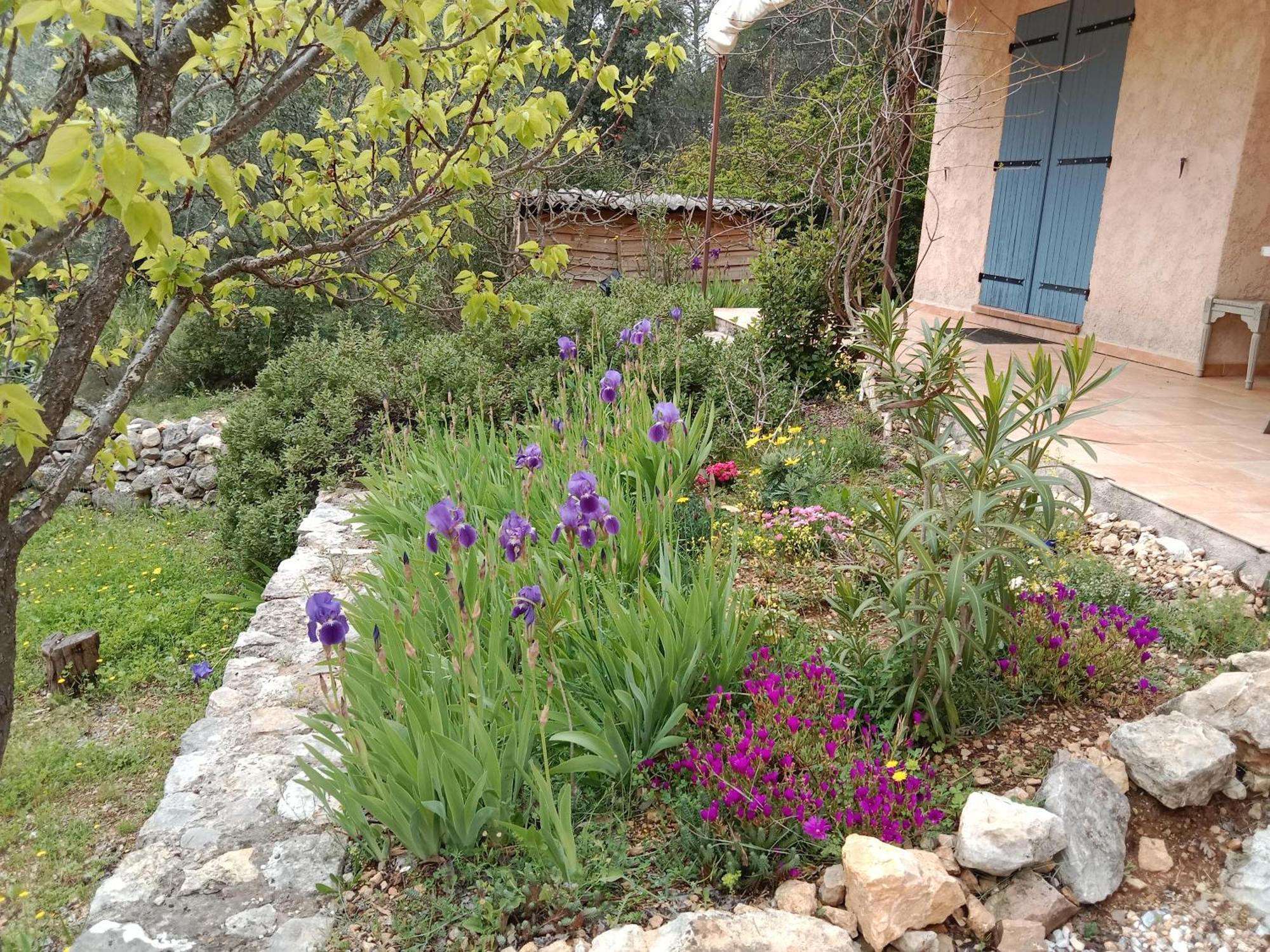 La Farigoulette Bed & Breakfast Lorgues Exterior foto